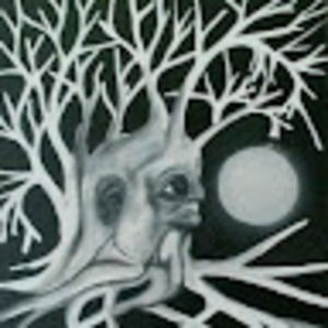 Meet your Posher, Salomon